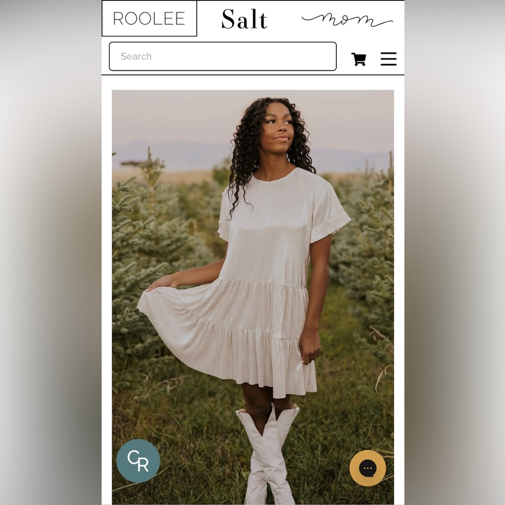 NWT shimmery dress from Roolee.